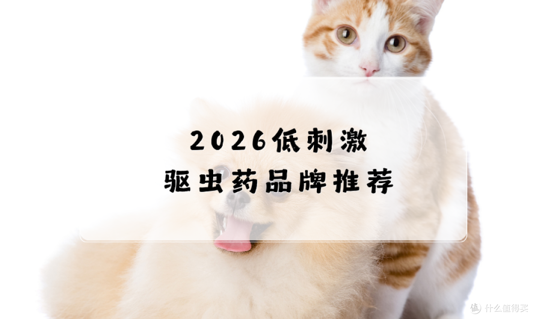 26宠物驱虫内驱品牌测评:全龄适配与安全低刺激的内驱虫药解析