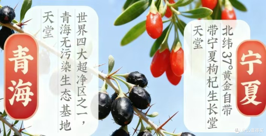 抗衰不用花大钱!这杯平价饮品,喝出胶原蛋白感,比面膜还管用