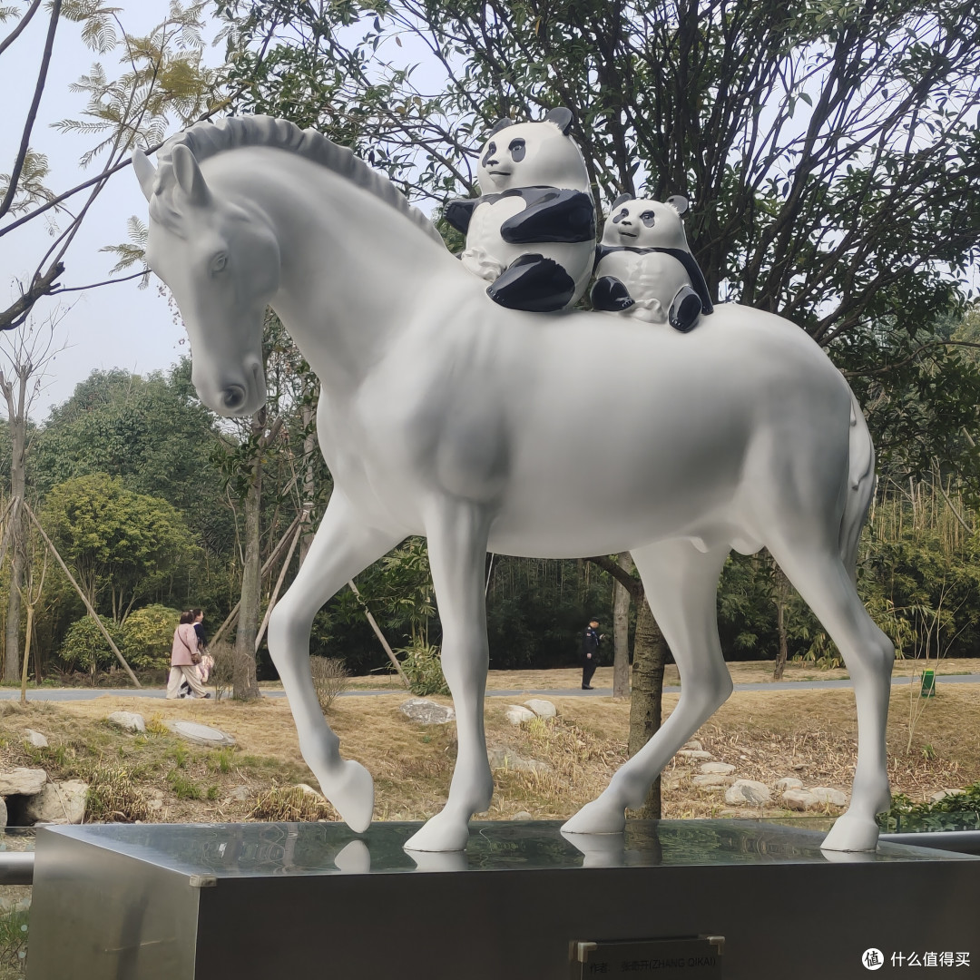 成都熊猫基地‖西门进南门出,全程步行不坐