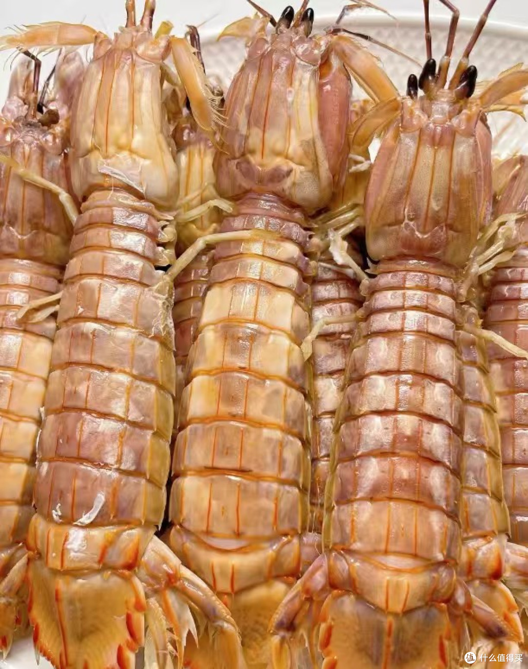 鲁东年夜饭:酱焖鲍鱼与清蒸爬虾