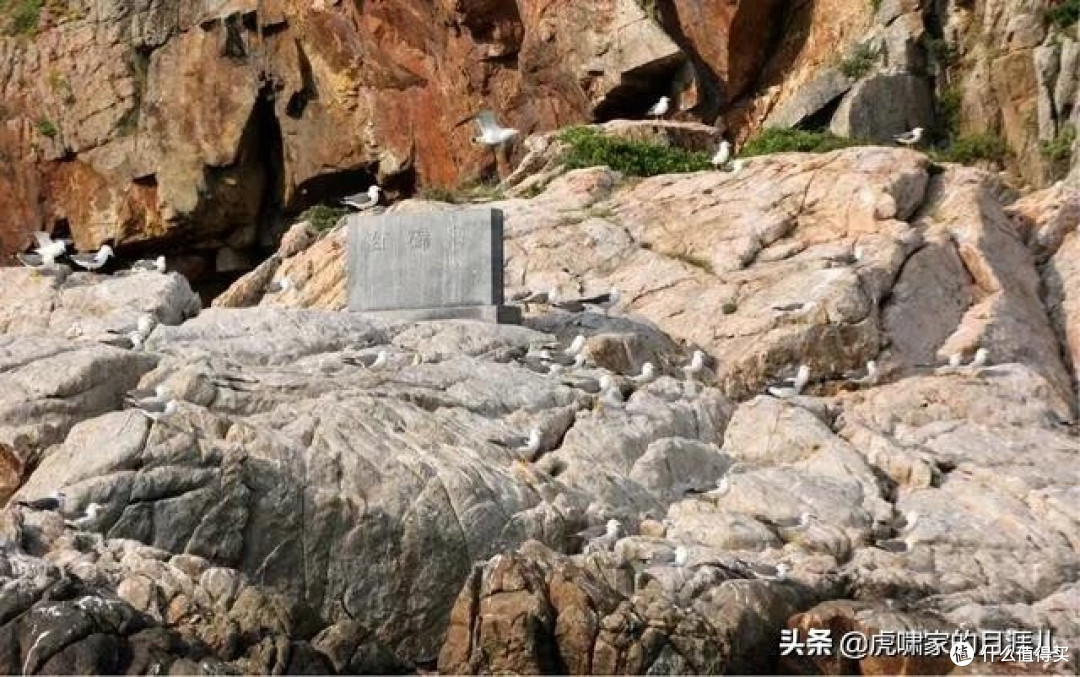 慢游古镇与海岛的秘境