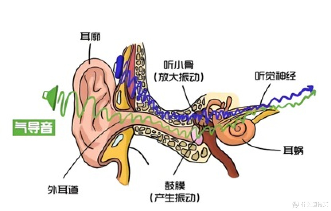 百元耳夹式耳机实测分享,100~1000元档区间,哪些机型值得买?