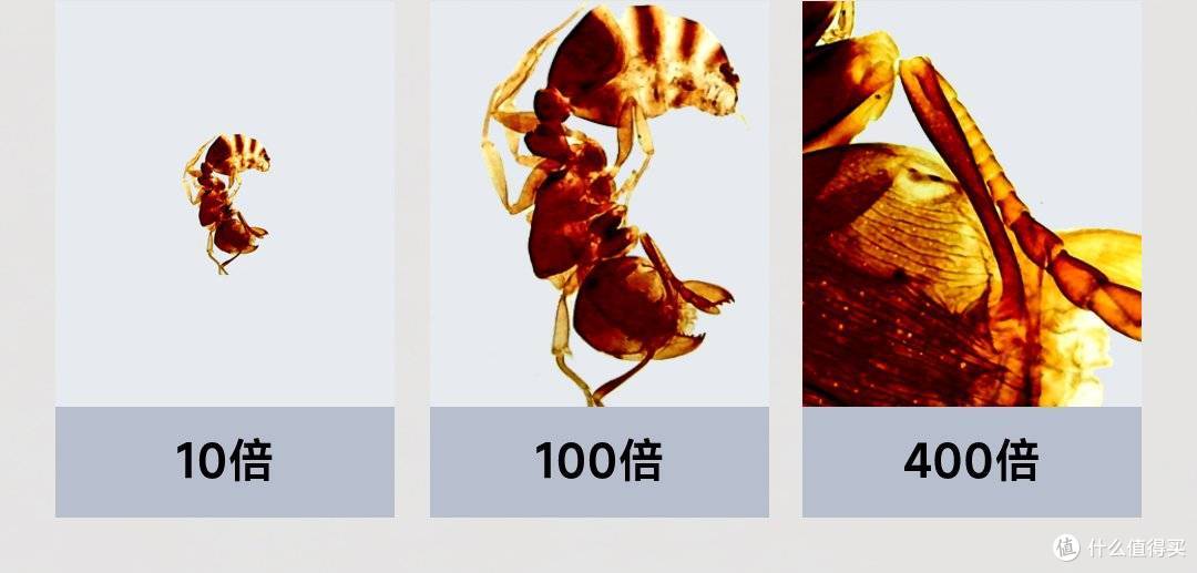 解锁全场景探索，[当当狸][智能显微镜]让孩子的好奇心随处绽放