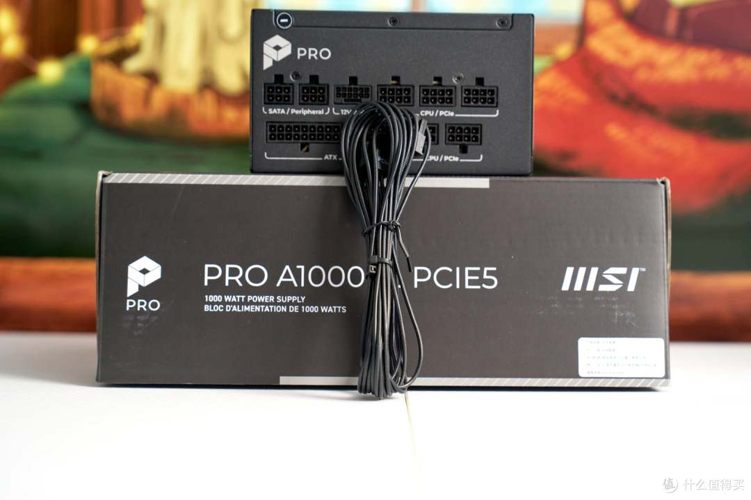 十年质保白金全模|微星 PRO A1000PL PCIE5电源开箱