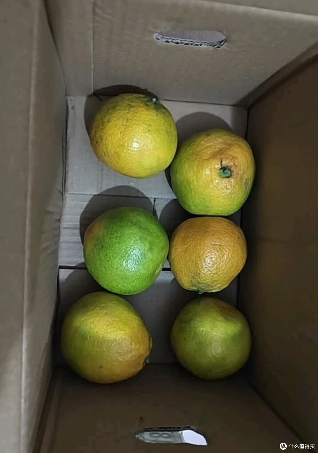 早熟新鲜椪柑丑橘子应季新鲜水果酸甜多汁