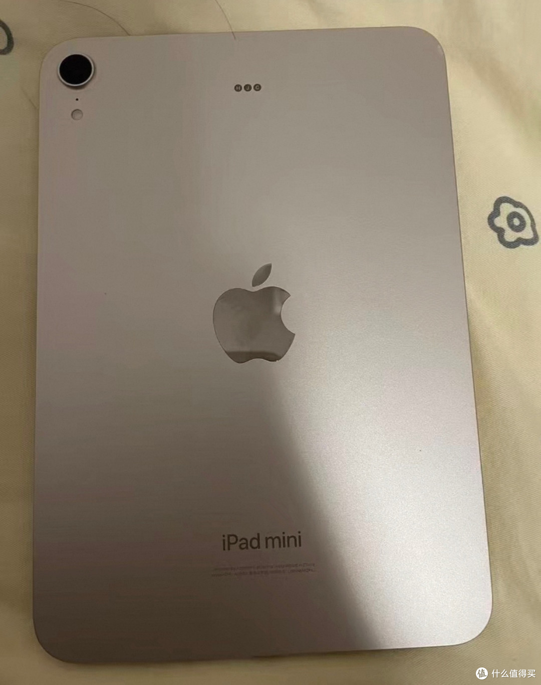 闲鱼捡漏iPad mini7成功！2100元拿下便携生产力，避坑攻略大公开