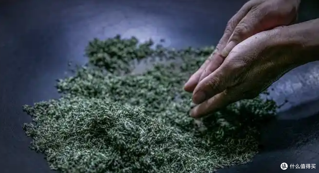 2026绿茶季到来;十大绿茶上市时间与典型品牌