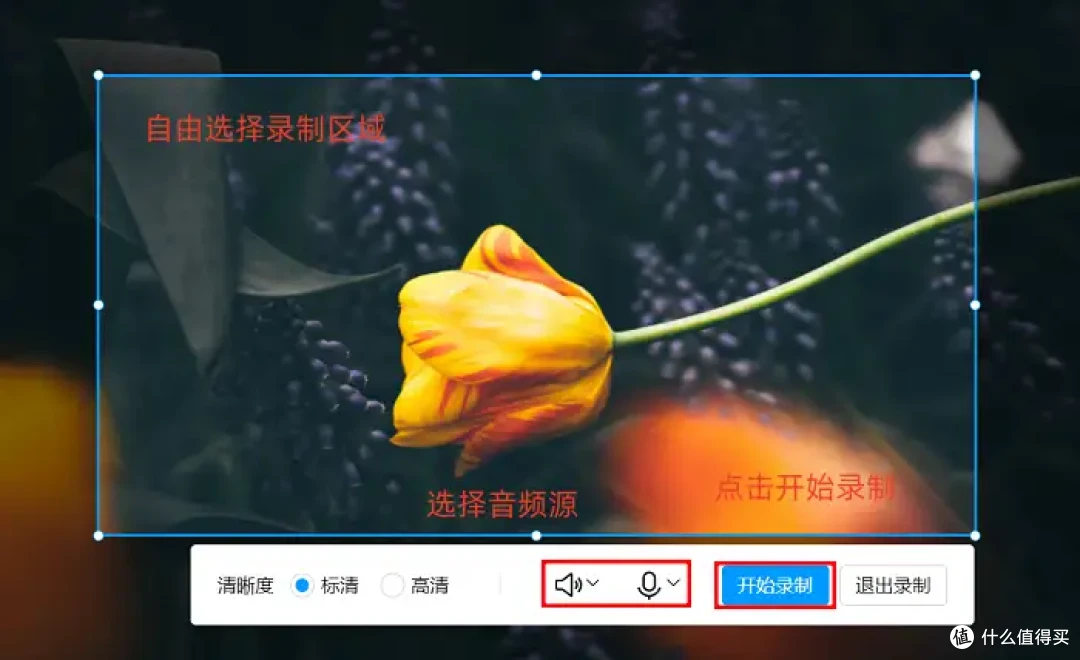 录屏哪家强?7款直播录屏工具,助你打破创作瓶颈