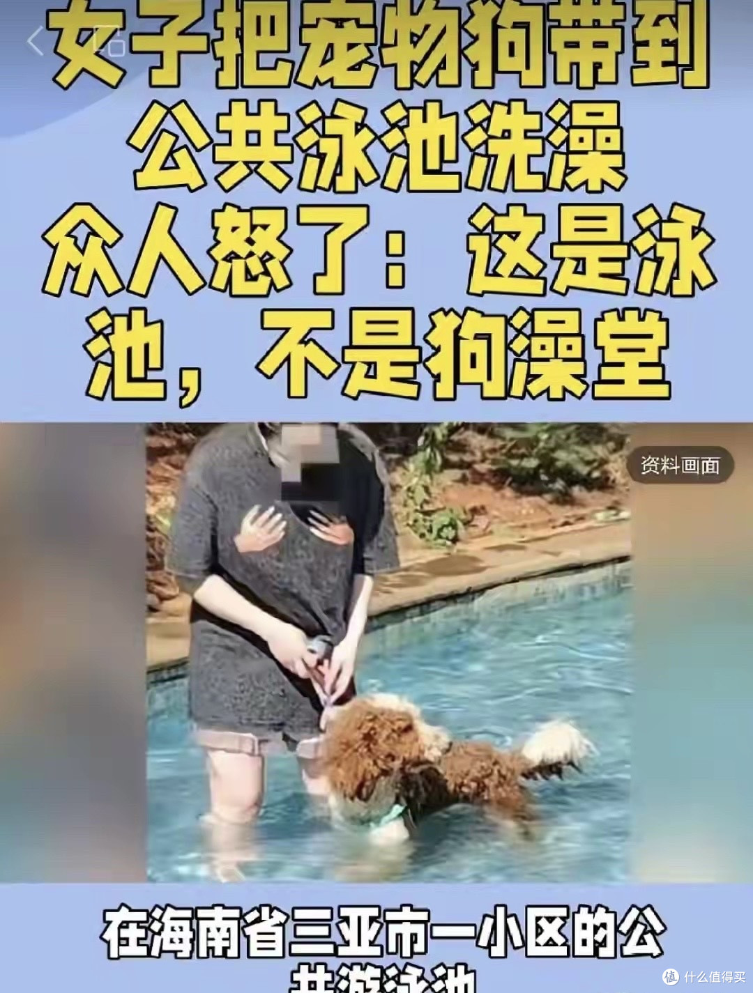 女子泳池内给狗洗澡后续:业主暴怒,物业发声,成功社死恐要担责
