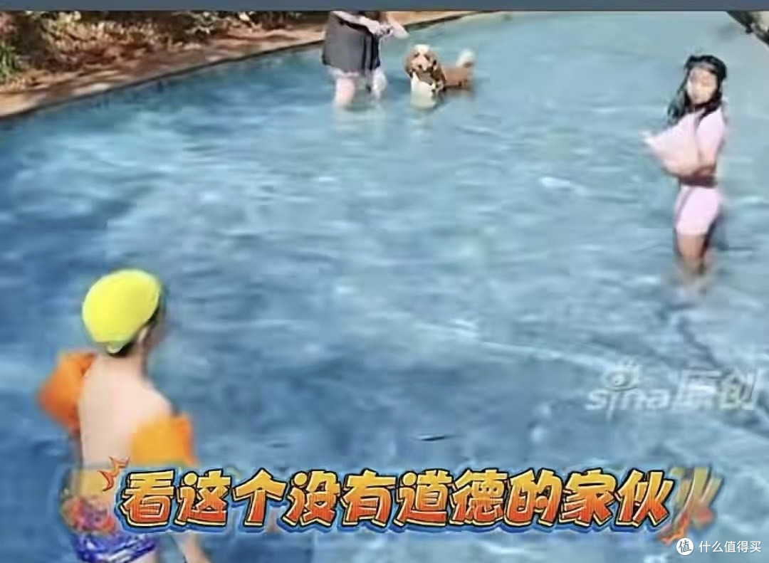 女子泳池内给狗洗澡后续:业主暴怒,物业发声,成功社死恐要担责
