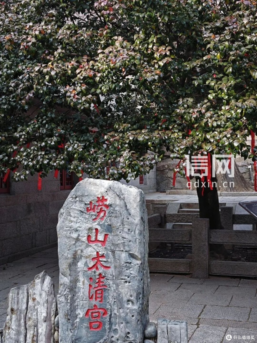 马年新春享福利 青岛11家景区对属马游客免首道门票