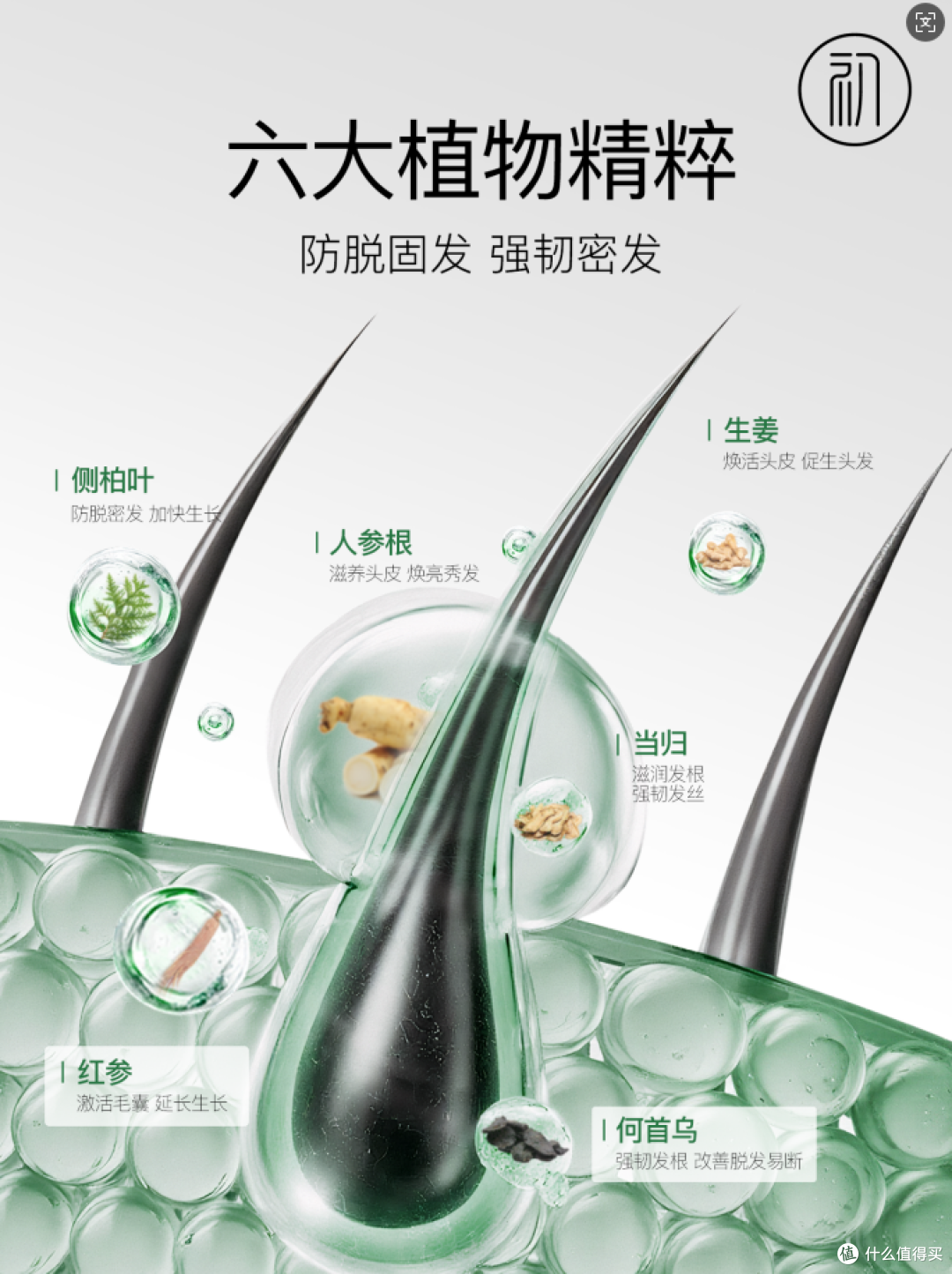 防脱控油洗发水哪个牌子效果好?口碑最好的十大防脱洗发水排行榜