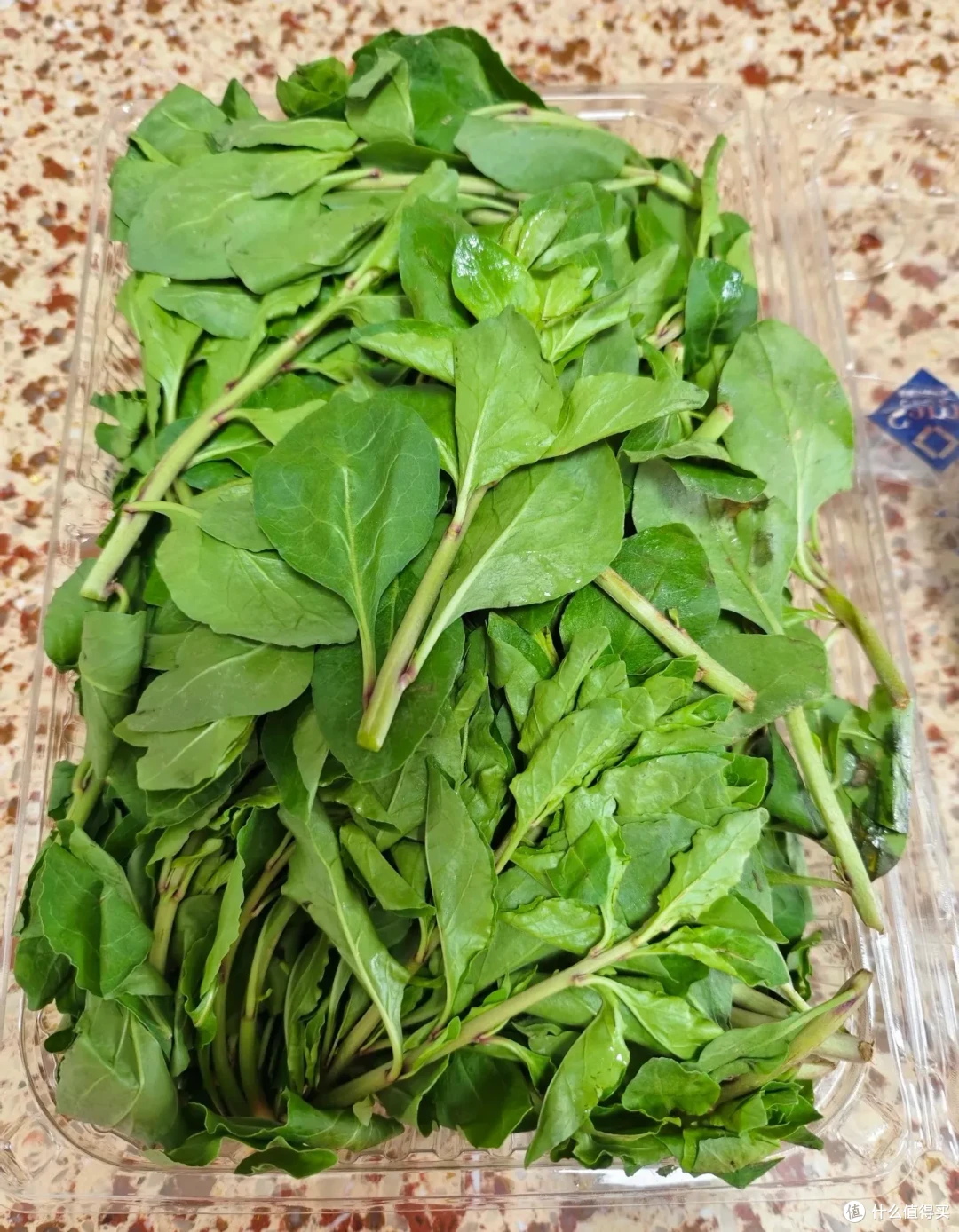 又到了春吃芽的季节,这10个春季限定美味,每一个都是心头爱
