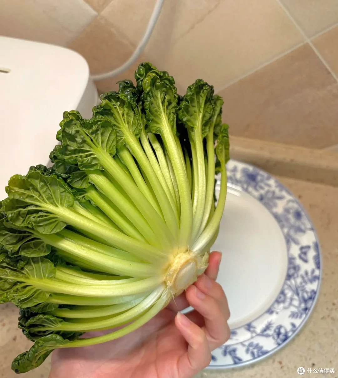 又到了春吃芽的季节,这10个春季限定美味,每一个都是心头爱