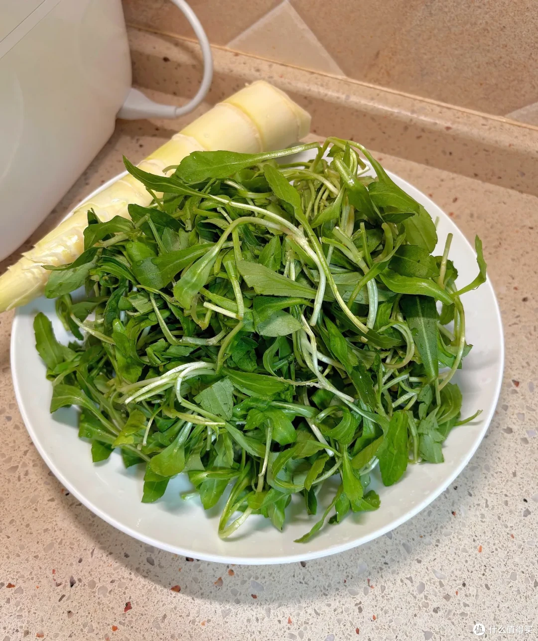 又到了春吃芽的季节,这10个春季限定美味,每一个都是心头爱
