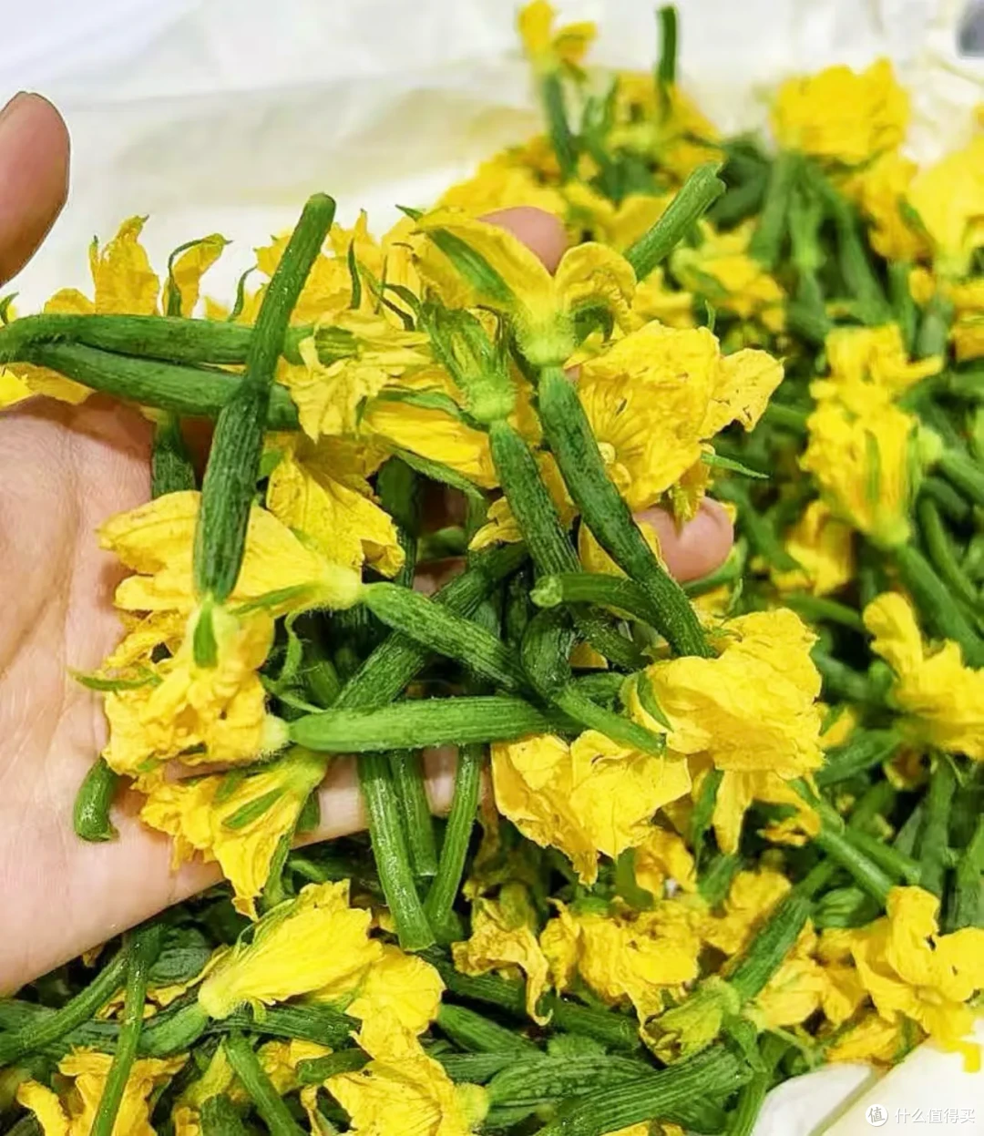 又到了春吃芽的季节,这10个春季限定美味,每一个都是心头爱
