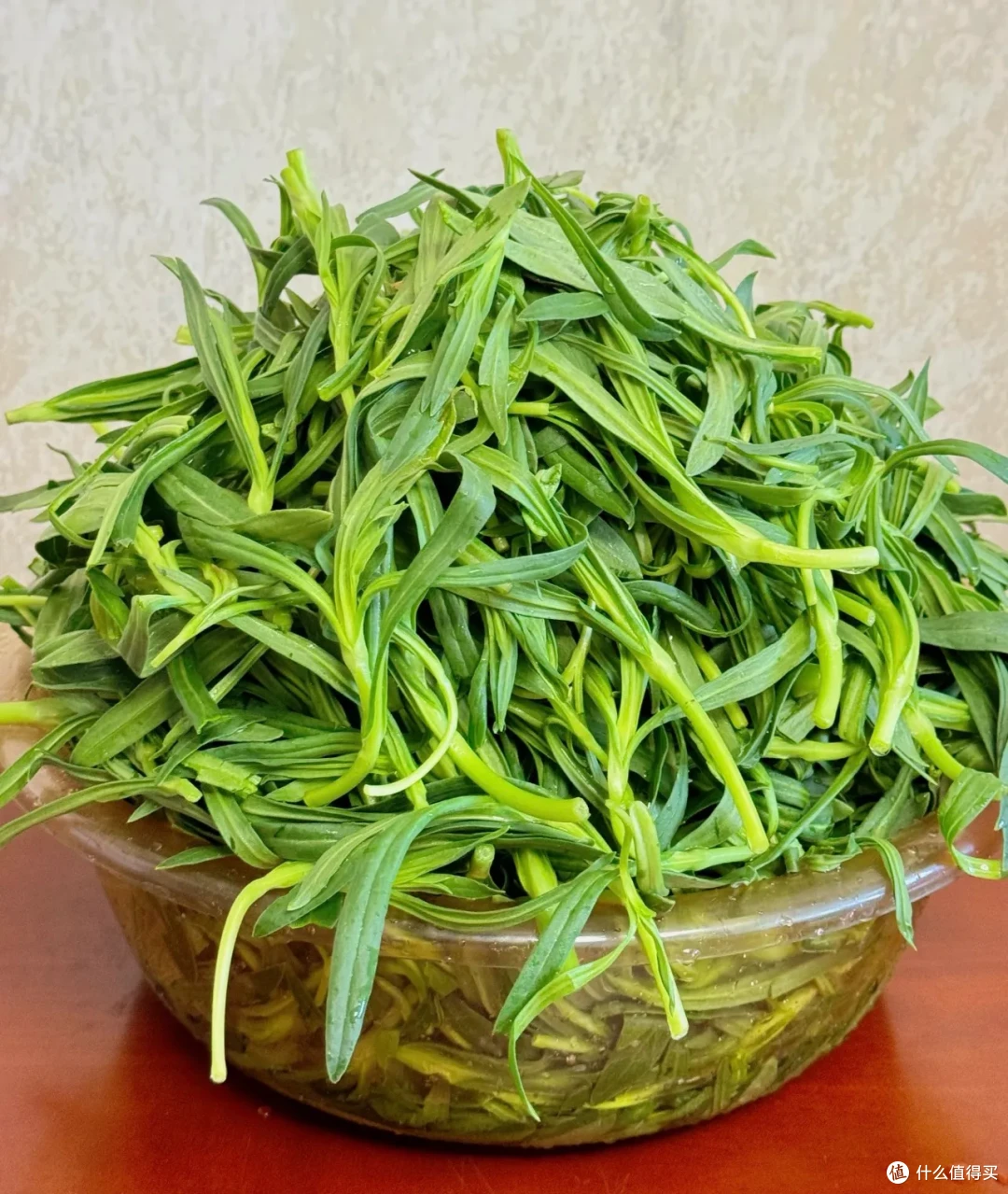 又到了春吃芽的季节,这10个春季限定美味,每一个都是心头爱