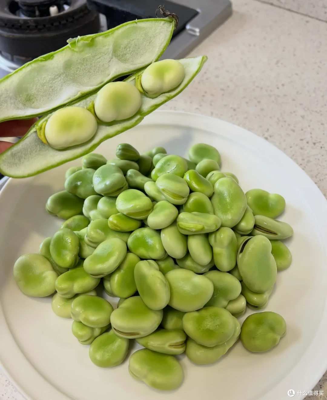 又到了春吃芽的季节,这10个春季限定美味,每一个都是心头爱