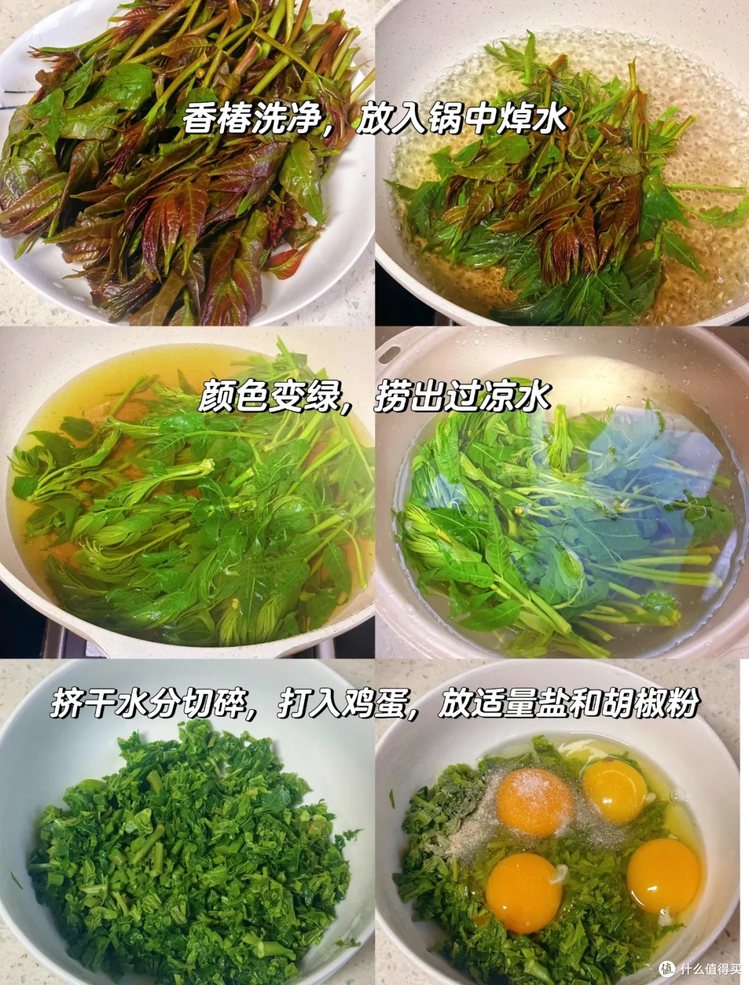又到了春吃芽的季节,这10个春季限定美味,每一个都是心头爱