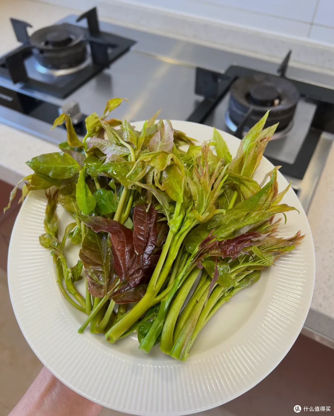 又到了春吃芽的季节,这10个春季限定美味,每一个都是心头爱