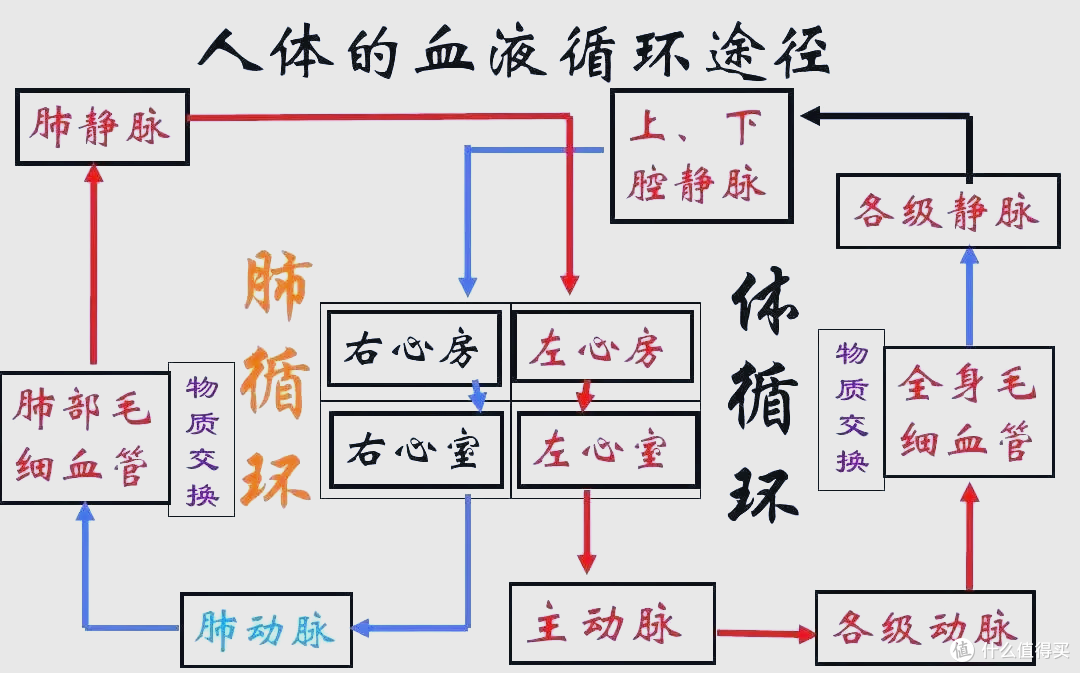 “放血疗法”乱象，为何屡禁不止？