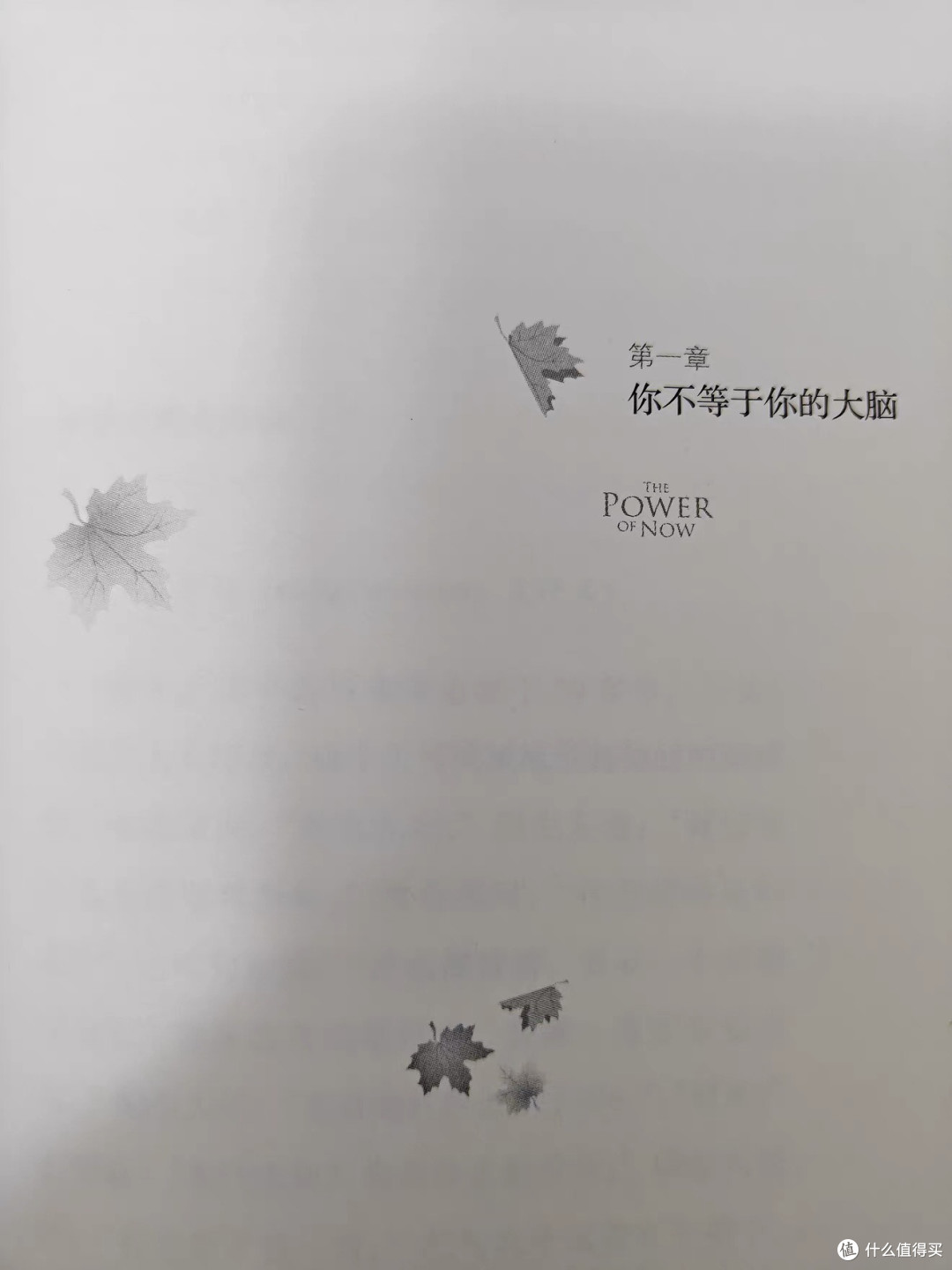 新年阅读计划:专注自我成长