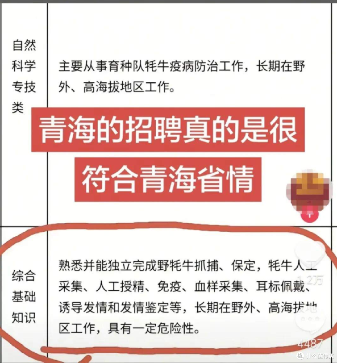 青海事业编招聘要“独立抓野牦牛” 这是招武状元?抓错就坐牢!