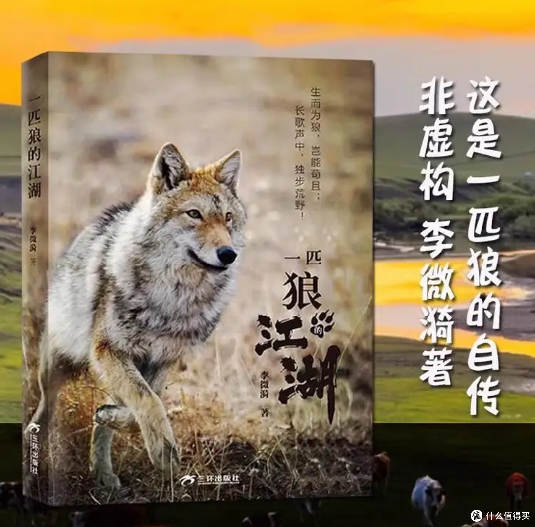 人与狼的羁绊,自由与生命的重量