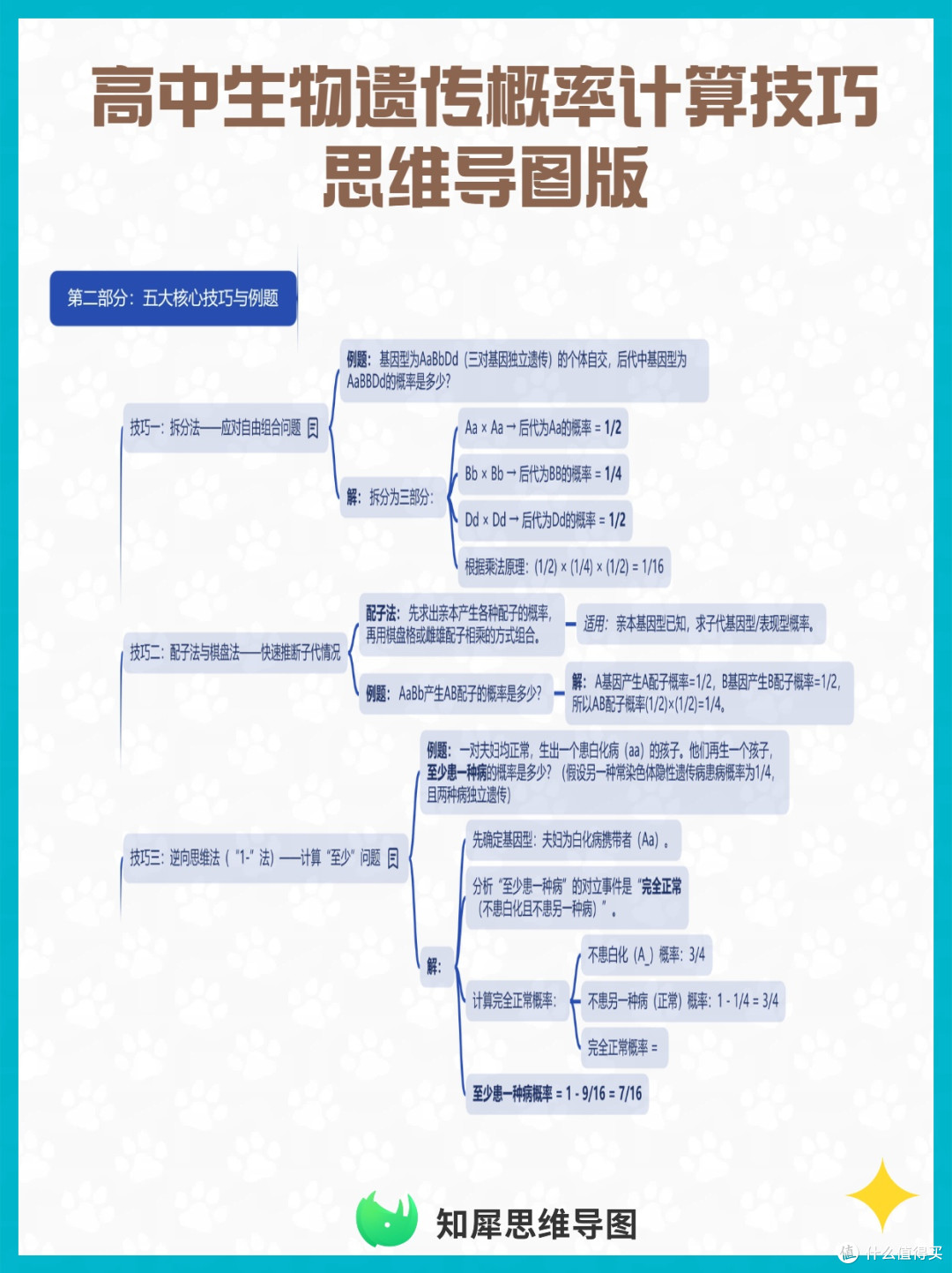 高中生物遗传概率计算技巧 思维导图版