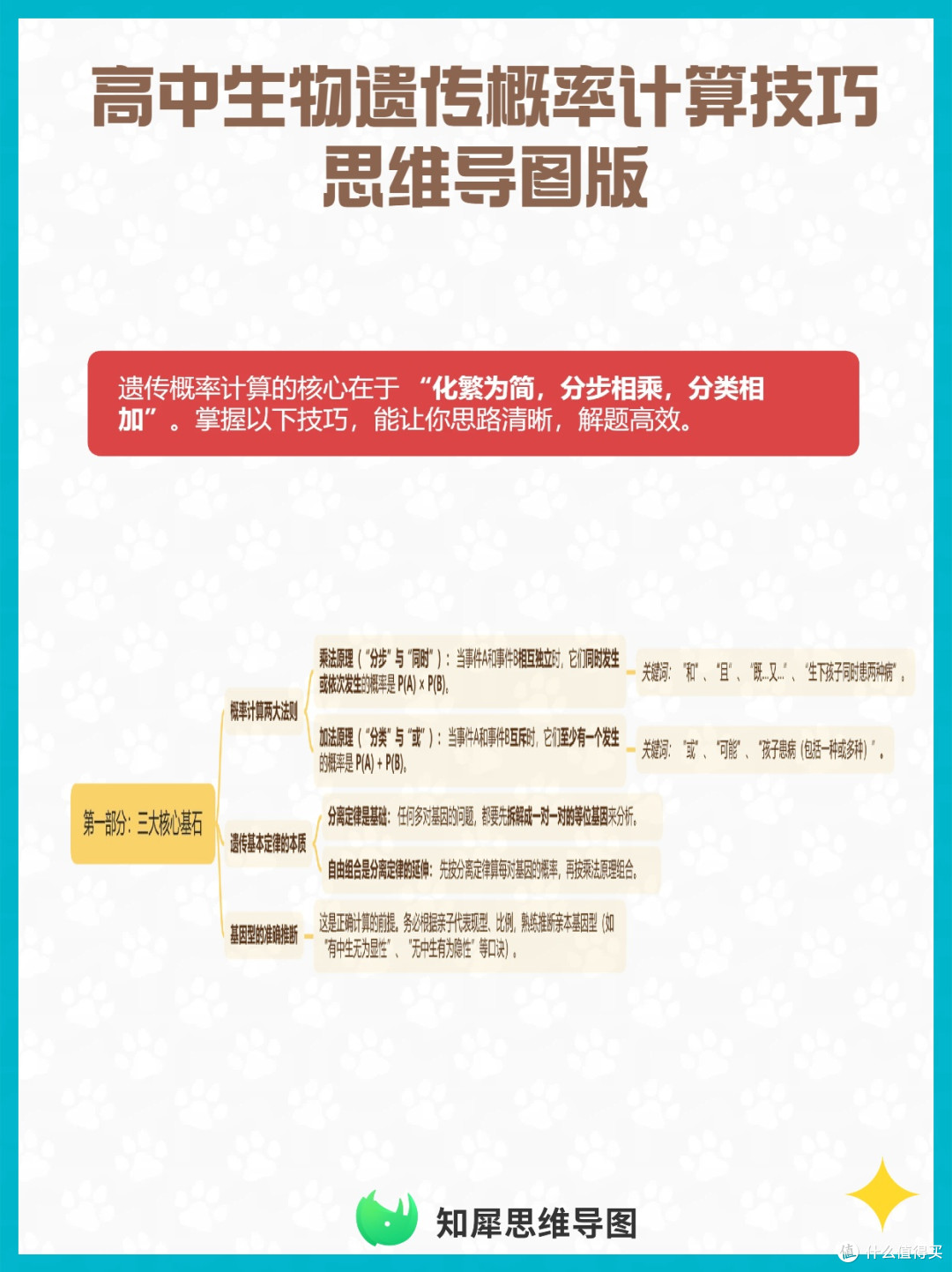 高中生物遗传概率计算技巧 思维导图版