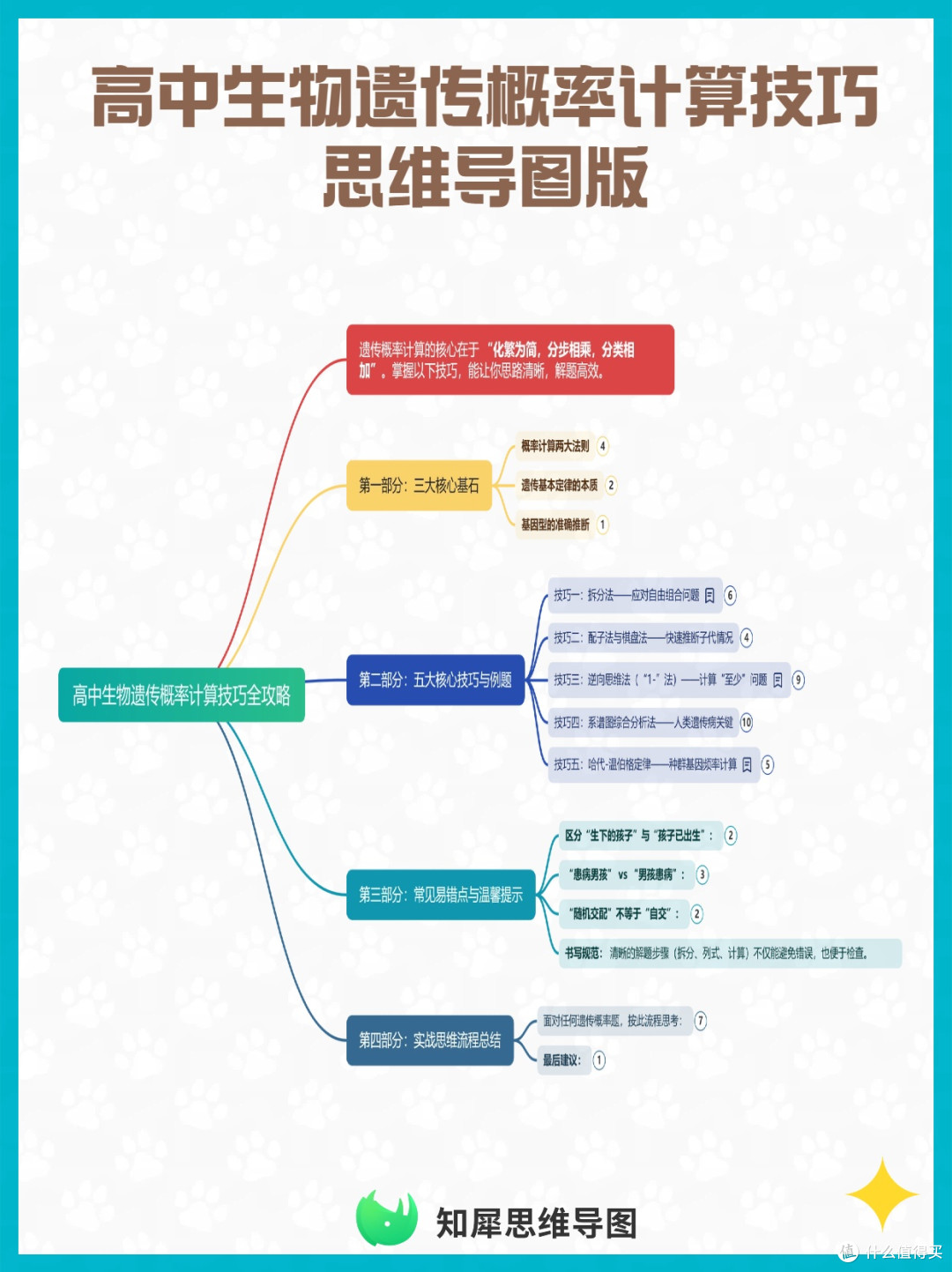高中生物遗传概率计算技巧 思维导图版