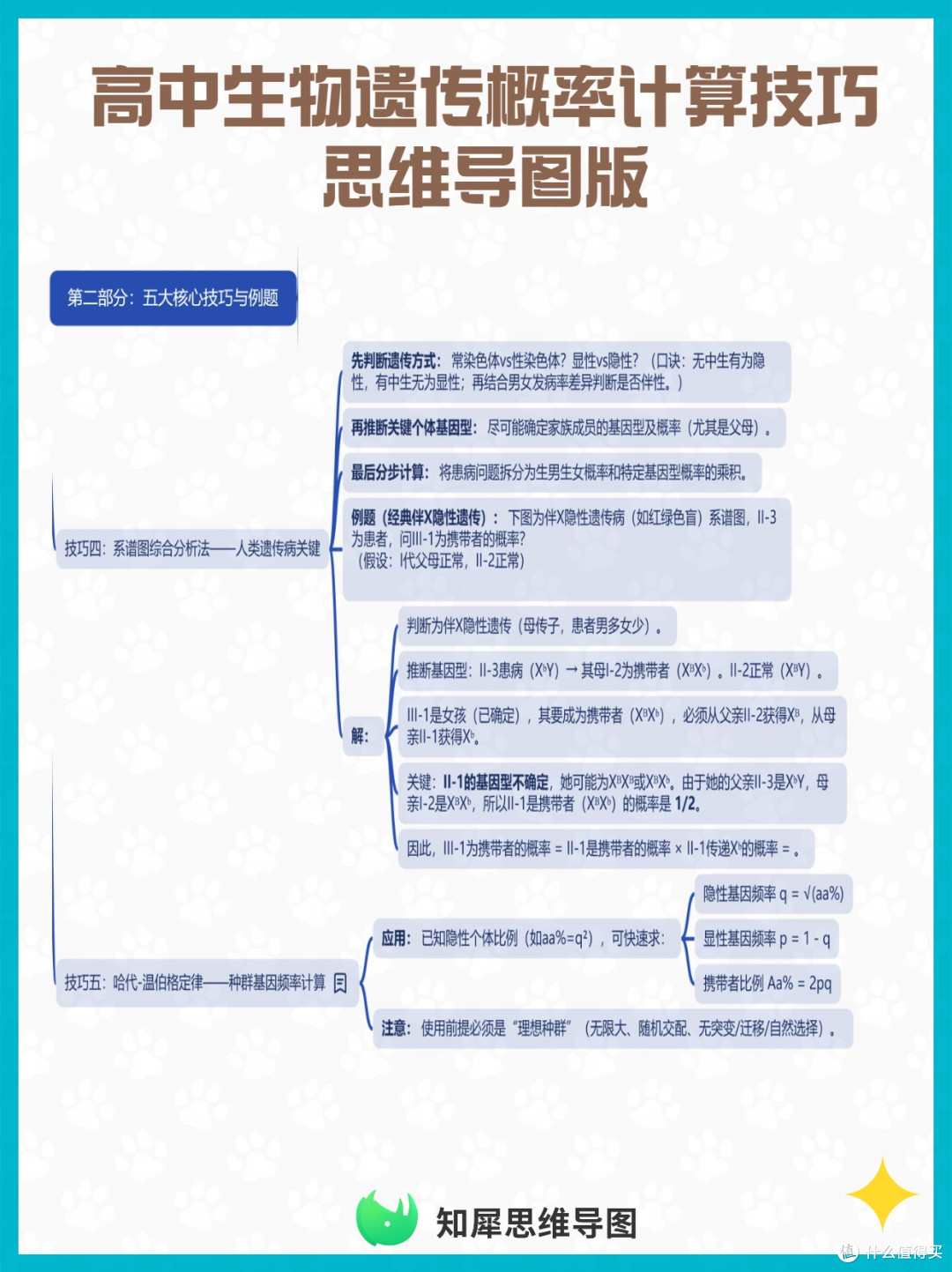 高中生物遗传概率计算技巧 思维导图版
