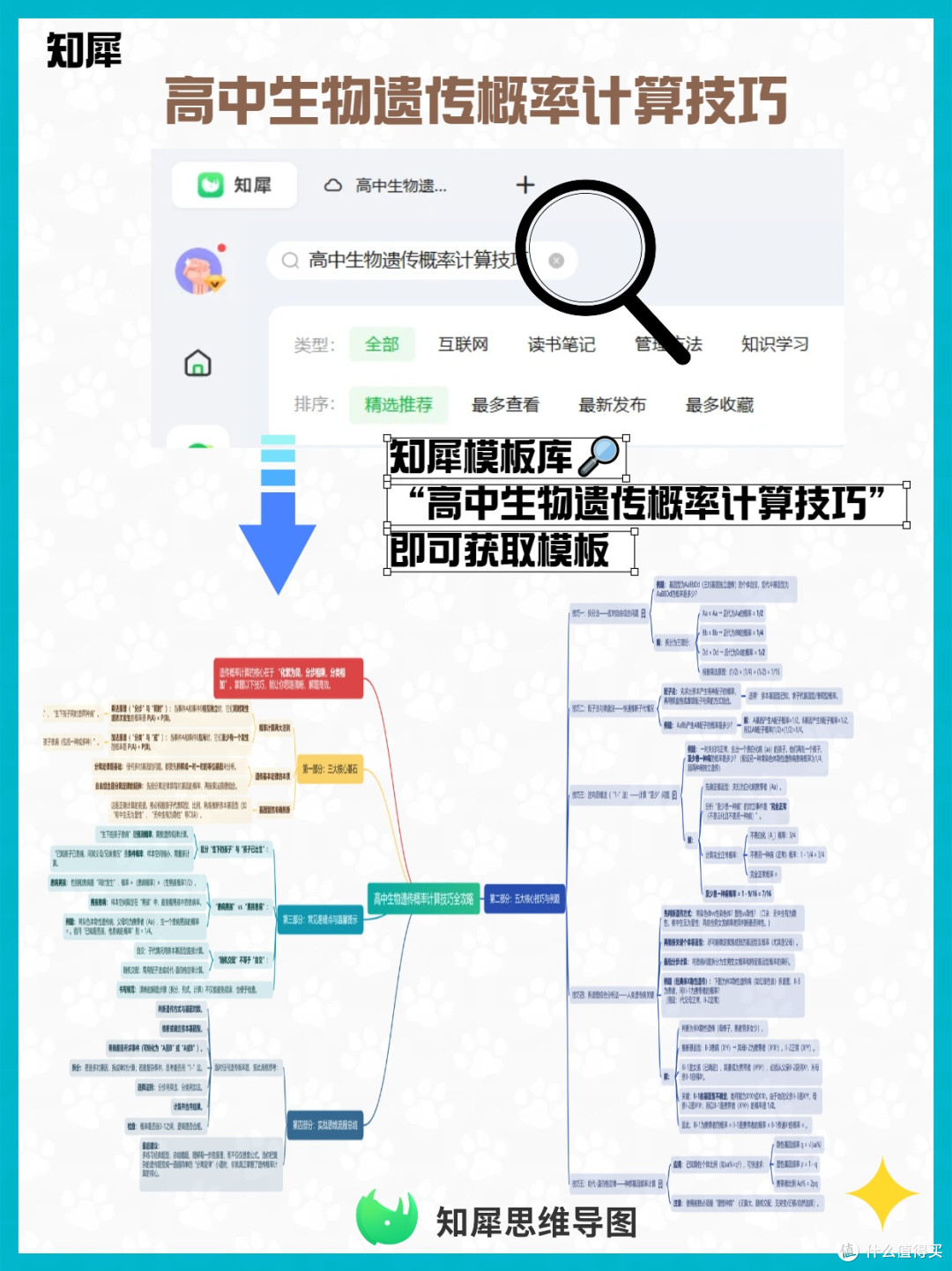 高中生物遗传概率计算技巧 思维导图版