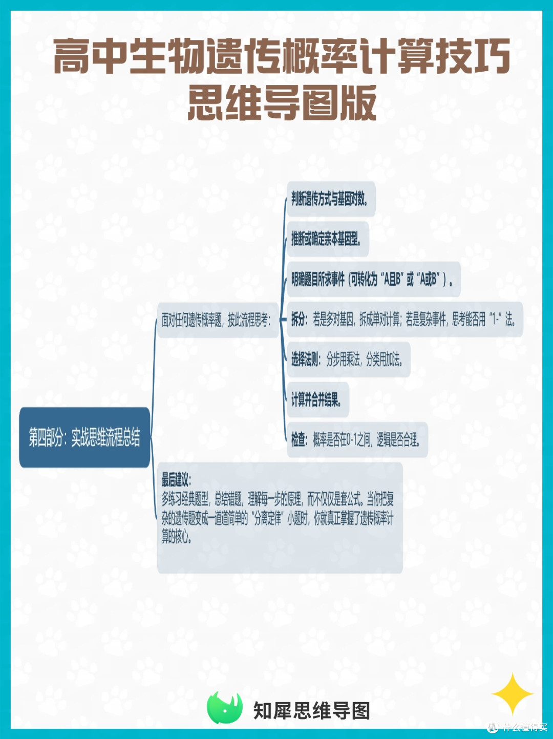 高中生物遗传概率计算技巧 思维导图版