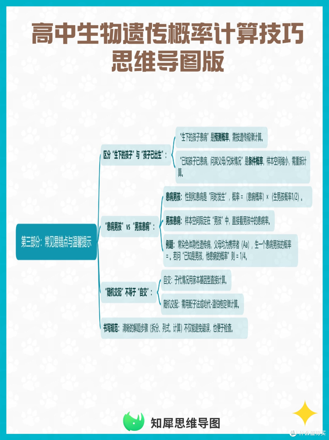 高中生物遗传概率计算技巧 思维导图版