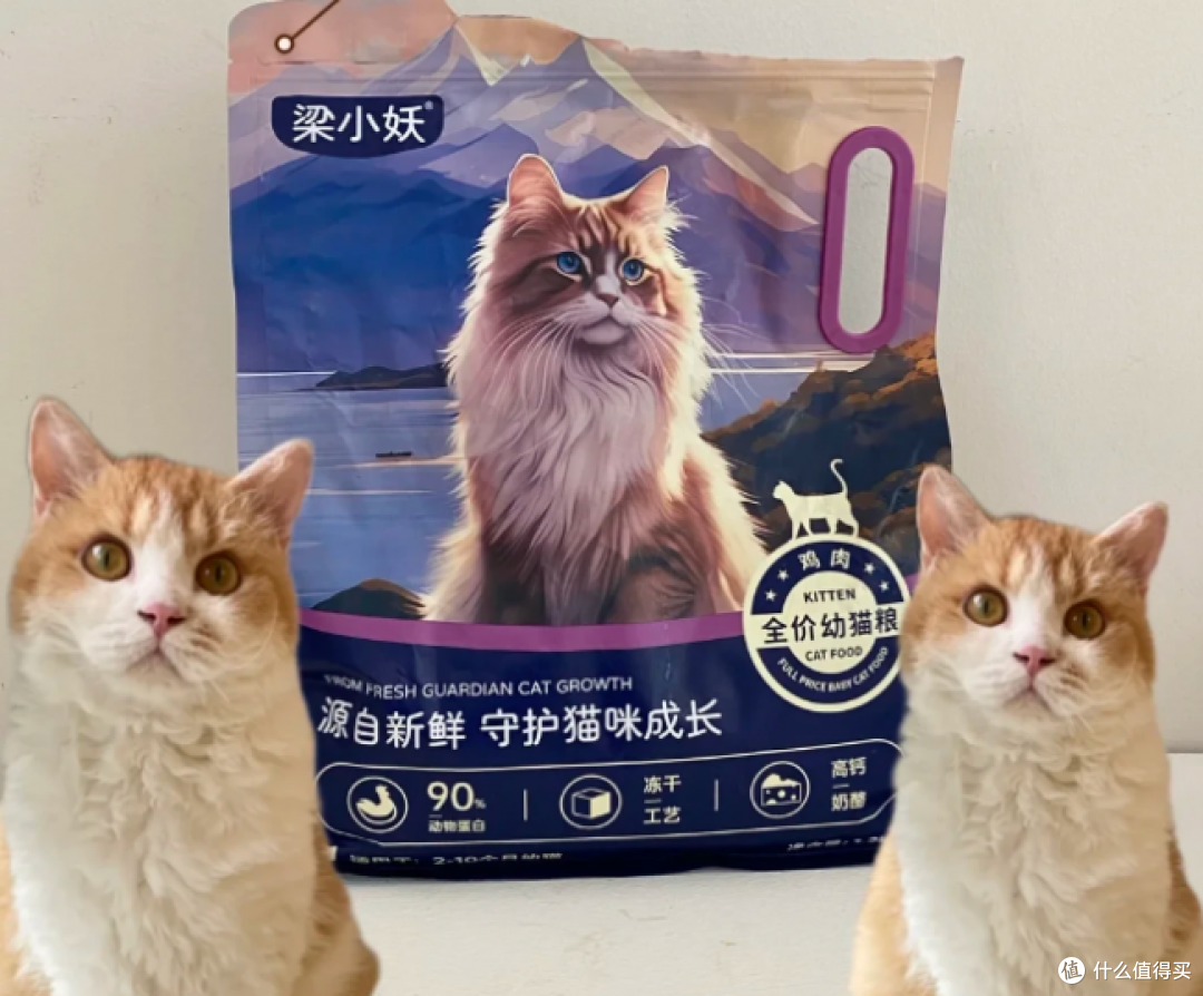 2026年2月无谷猫粮产品排行榜:高鲜肉高营养六大品牌测评