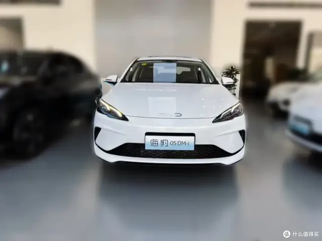 海豹05:新款纯电续航210km,大哥说买完车就准备去辞职