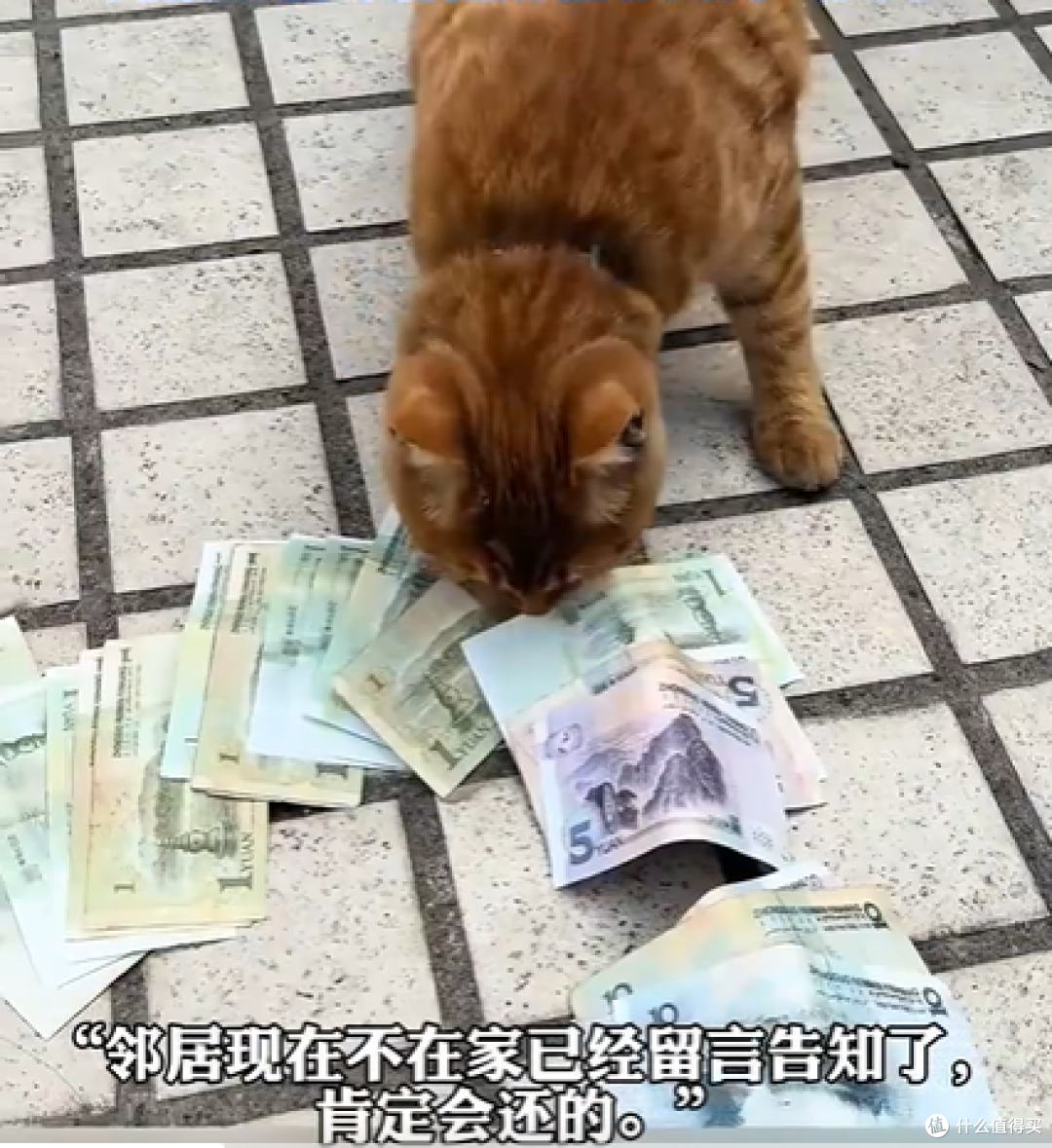 女子拜财神后,财神显灵家里冒出钱,监控一查:竟是自家橘猫干的