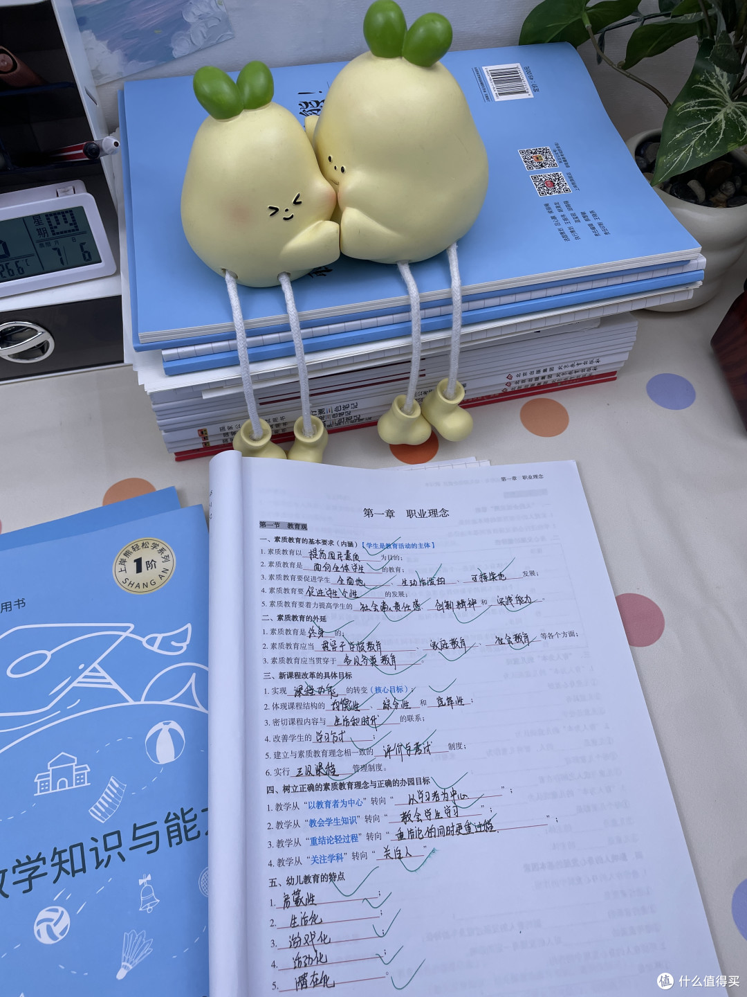 裸考教资也能过！救命技巧+必背重点，附高性价比资料测评