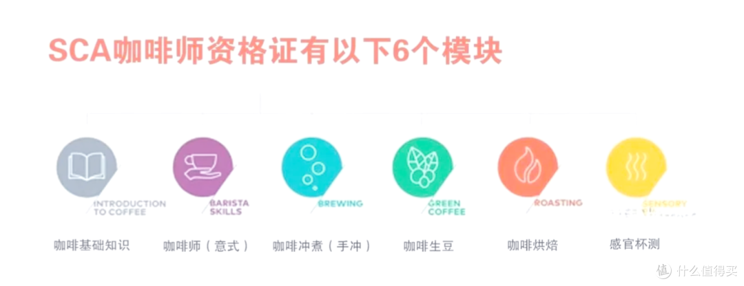 带云南咖啡上天天向上,10年我撕开了咖啡行业所有伪装