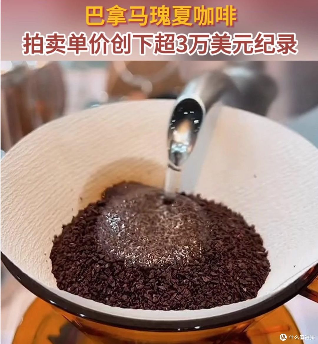 带云南咖啡上天天向上,10年我撕开了咖啡行业所有伪装