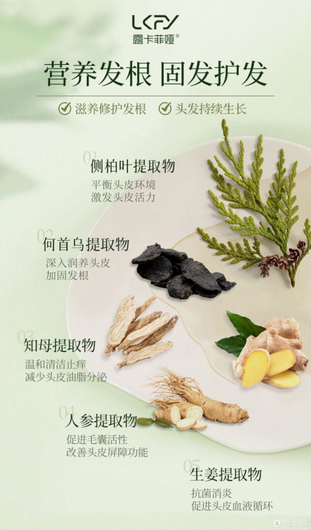 什么防脱产品效果好?世界公认防脱产品排行榜前十综合对比