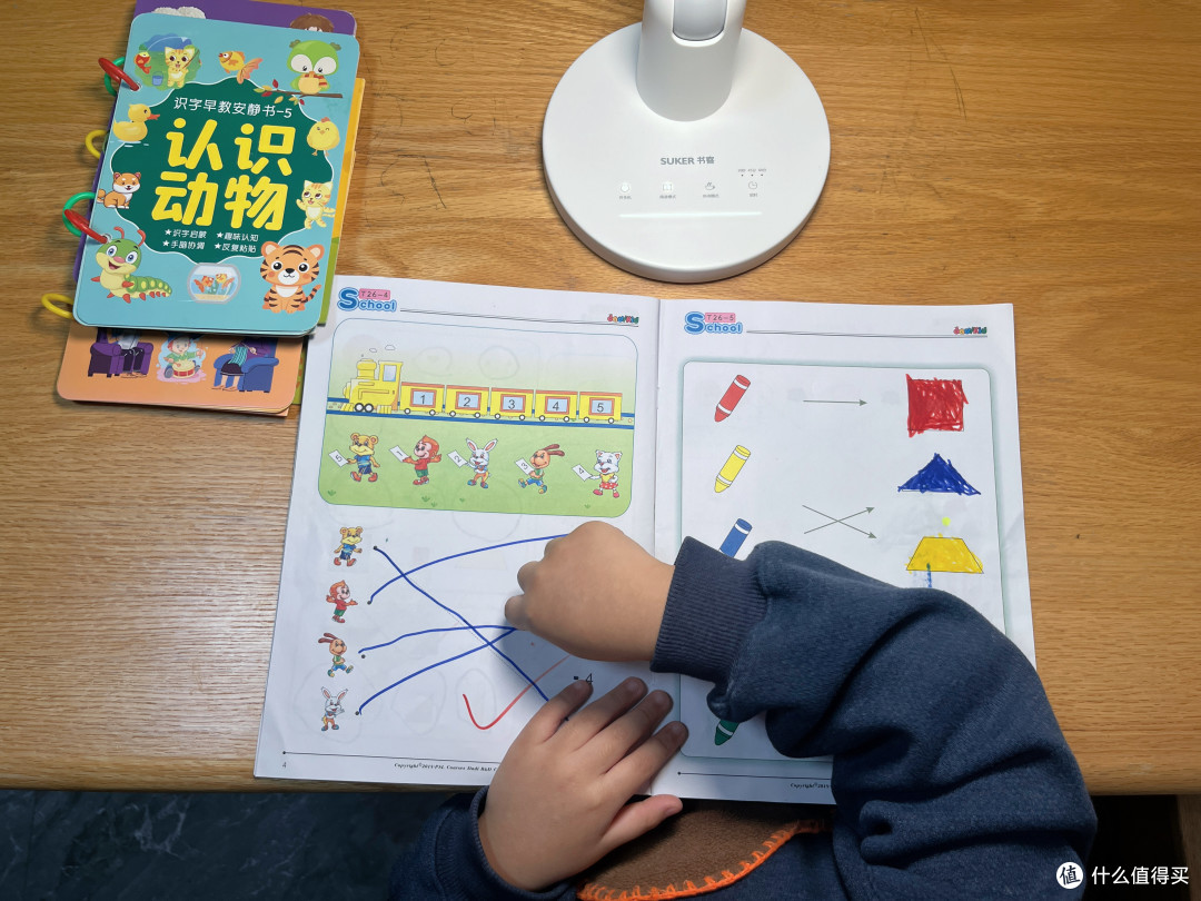护眼+安全双在线,送给小侄子,书客SKY不踩雷