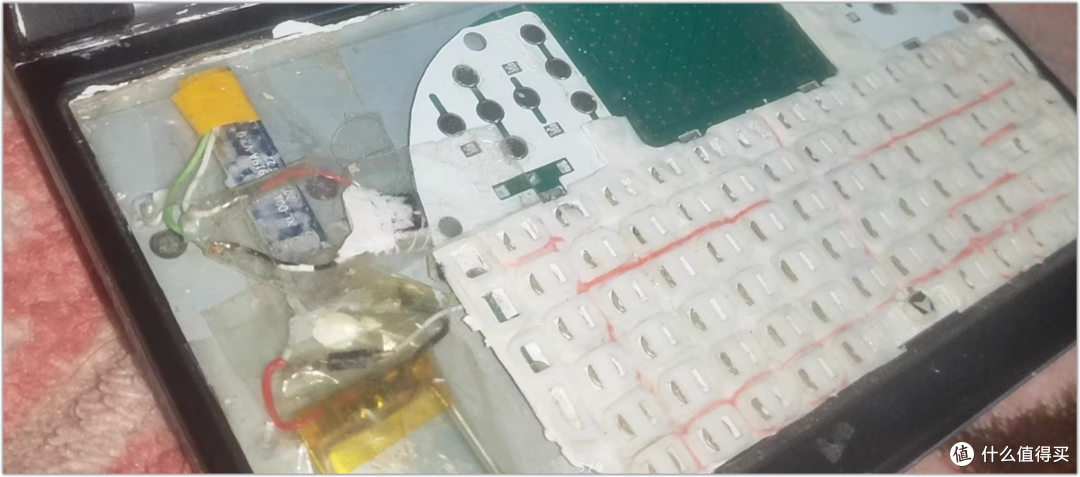 某鱼手搓神机!网友纷纷表示:“这是手搓废了的节奏”