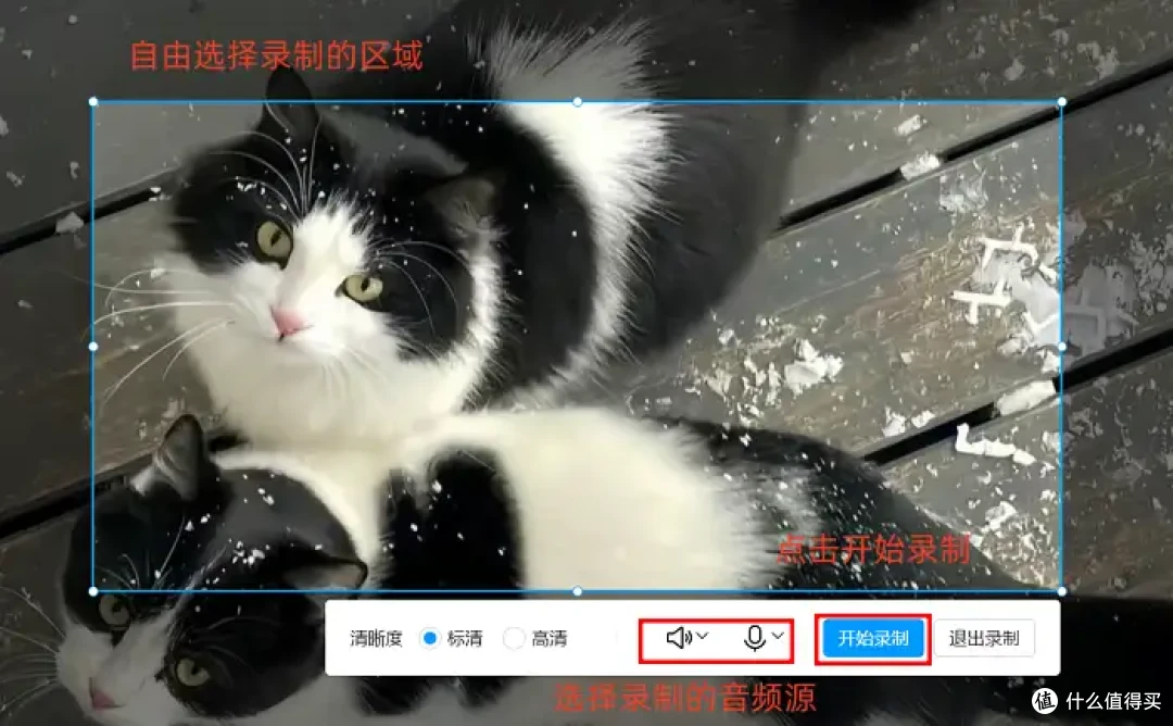 电脑怎么录制屏幕视频?7款软件值得收藏