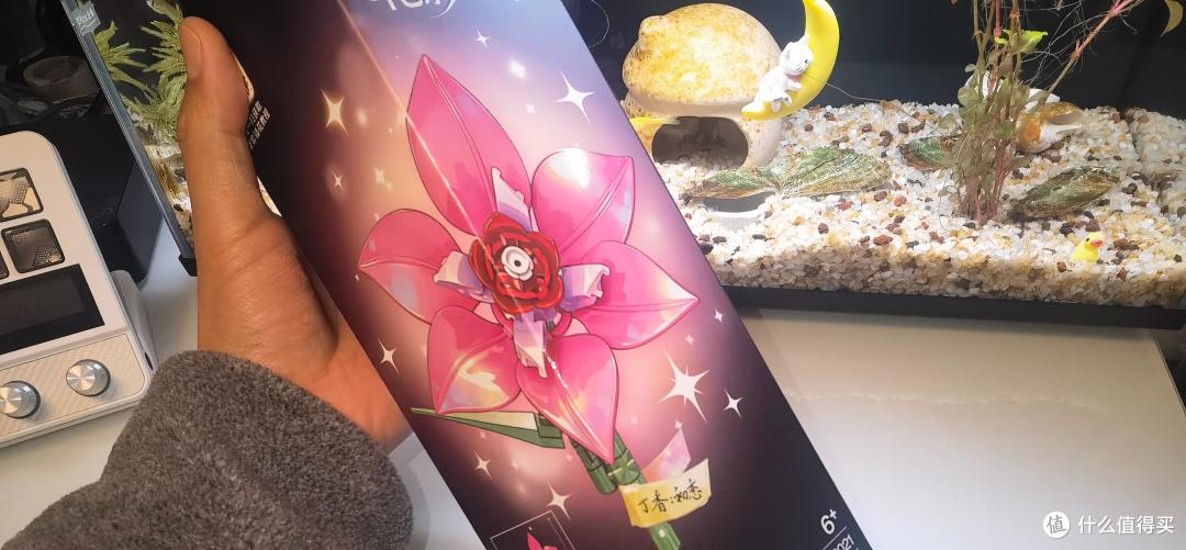 沃马积木永生花，全家参与永不凋谢！