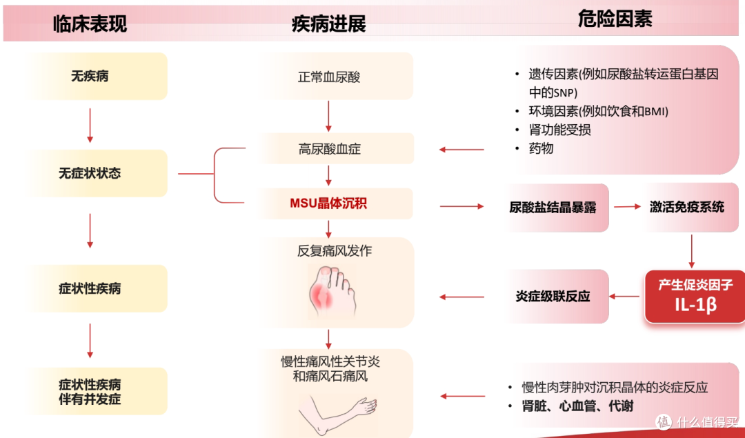 痛风急性期如何兼顾镇痛疗效与长期用药安全?