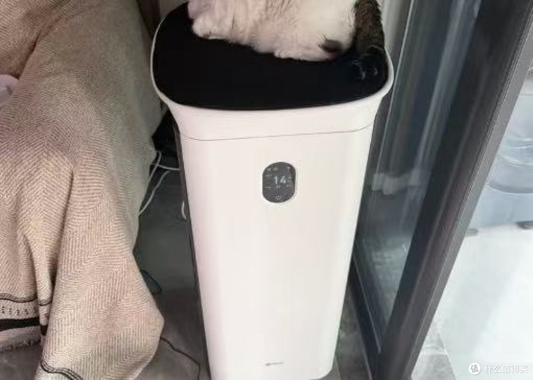 宠物空气净化器哪个牌子好?10大品牌实力测评,除菌效果超惊艳