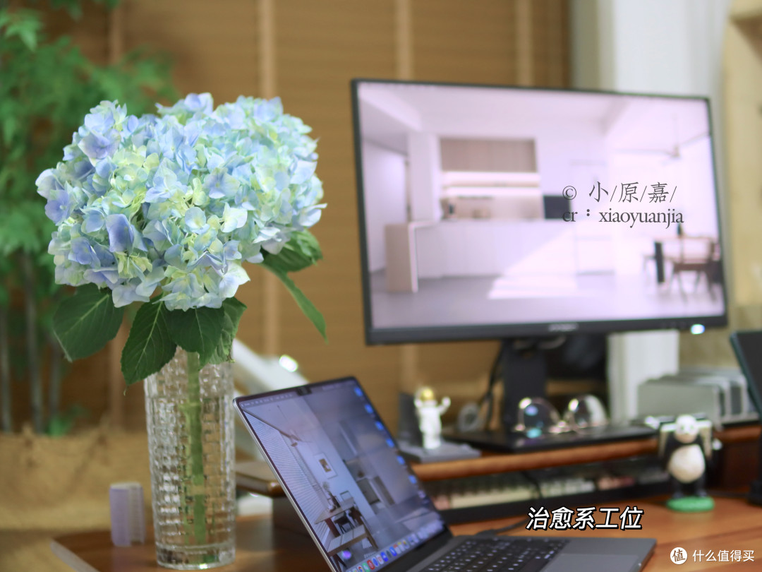 春节年宵花买什么,好看又有好寓意?有必要买很贵的限定款吗?