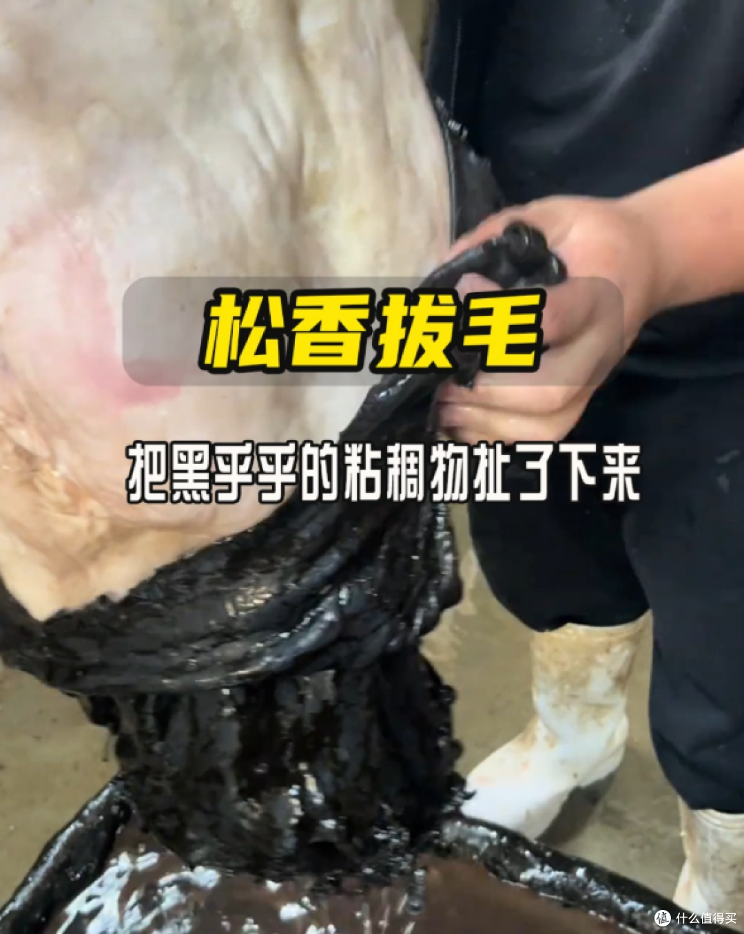 吃肉的时候,如果吃到粘牙的东西,建议赶紧丢掉!